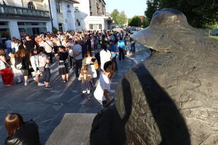 ZLATE PETICE 99zz21 FOTO LJUBO VUKELIČ